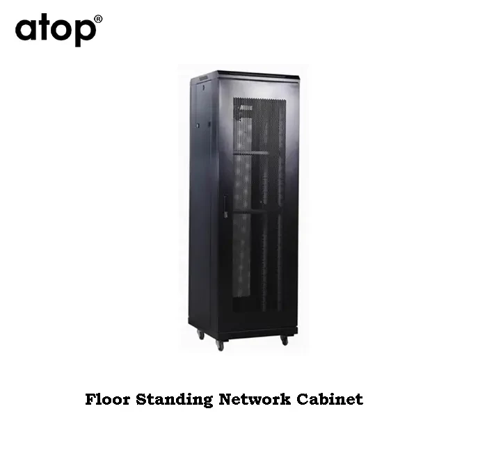 42U x 600(w)*1000mm(d) Floor Cabinet Vented Door